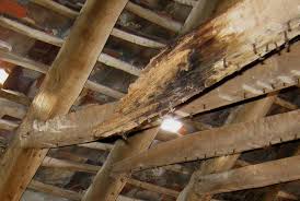 Example of timber rot