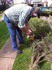 Duane Robinson: Renovating with a chainsaw