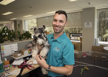 ‘Once a pet is in the office there are rules and expectations’