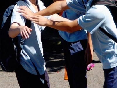 Public school bullying reports sensationalised, says AEU
