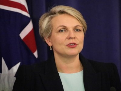 Labor calls for Royal Commission into schools