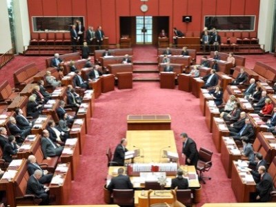 Senate says schools failing kids with disability