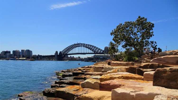 Sydney home prices are projected to continue its downtrend