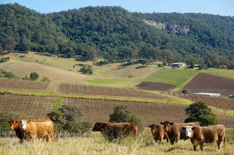 These are Hunter Region's property hotspots.