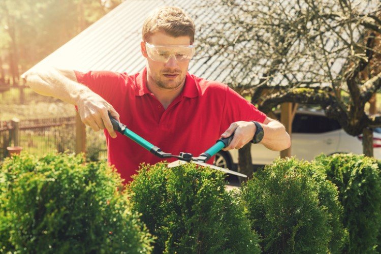 ING, Australia's fifth largest lender, has announced that it will be repricing some of its variable rate home-loan products ahead of the expected rate cut by the RBA next week.