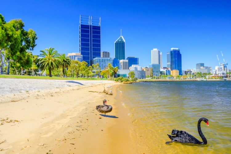 Political parties were urged to help make Perth a migration hotspot in order to attract more skilled workers that can fill the current housing oversupply.