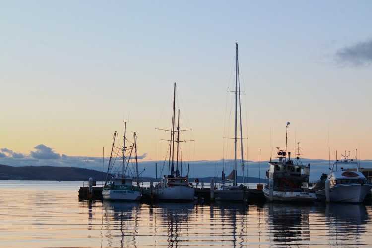 Hobart has become a popular go-to destination of home buyers.
