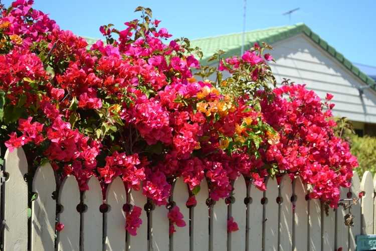 Over half a million Australian homeowners have enough space on their property to build a granny flat.