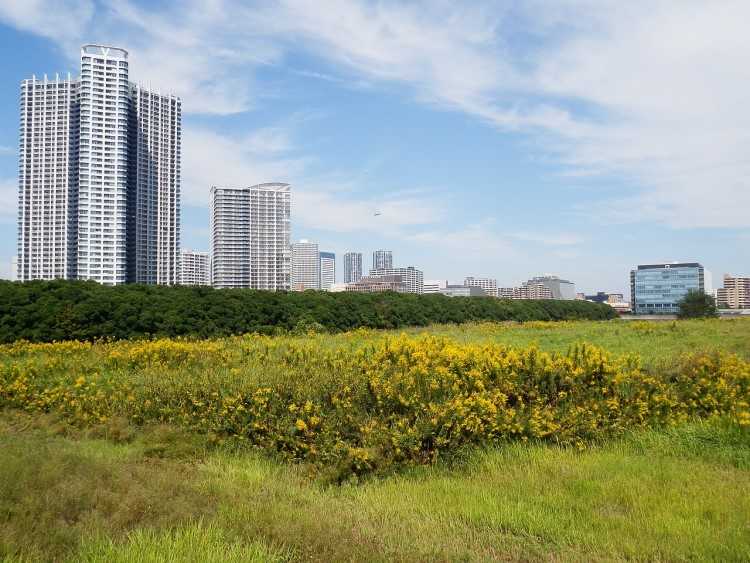 HIA-CoreLogic: Price of vacant residential land rose, despite declining sales