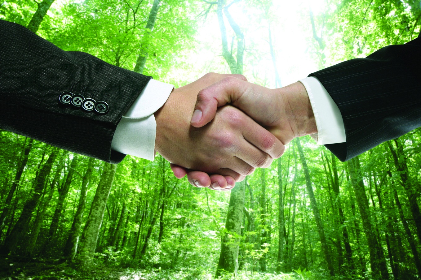 How major firm became a carbon-neutral firm