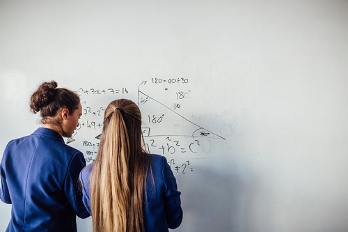 Girls’ maths participation in decline – report