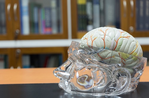 How neuroscience can enhance school leadership