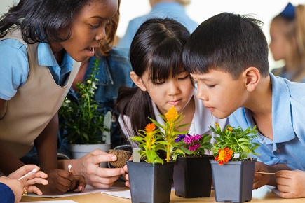 How schools can develop students’ sustainable practices