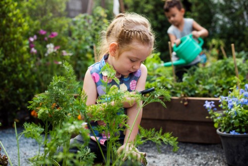 The benefits of having a school garden