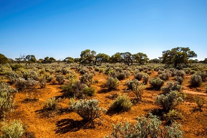 Is this Australia’s most remote principal?