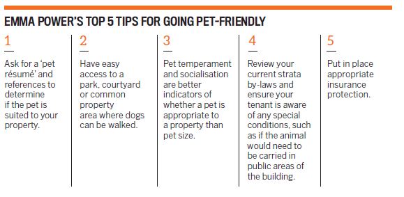 Pet-friendly properties: can compassion breed profit?